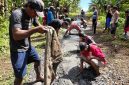 Warga Desa Talapaon Kembali Bangun Jalan Setapak. (Dani)